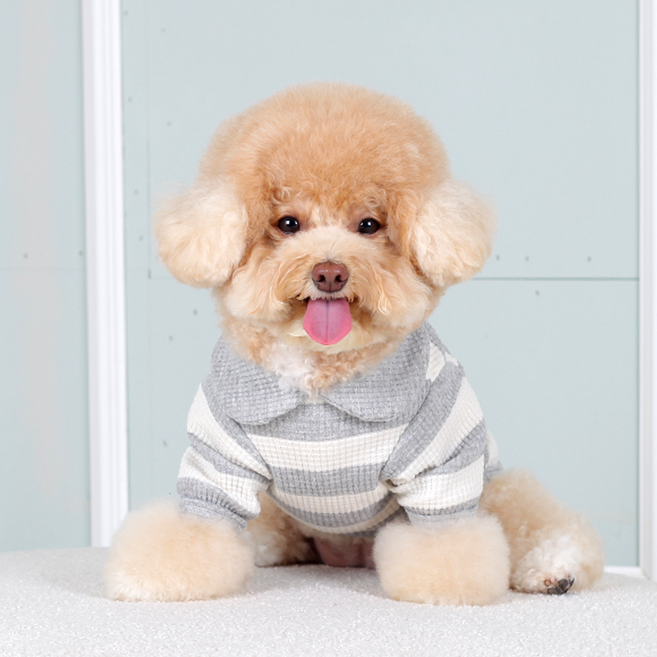 에이미러브즈펫 강아지 와플 카라 티셔츠, 그레이