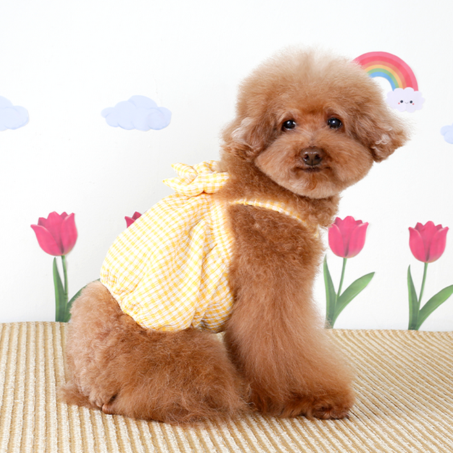 에이미러브즈펫 반려동물 체크 크롭 원피스, 옐로우, 1개