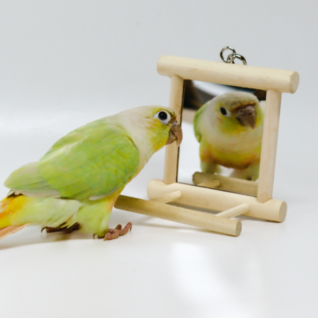 나무 거울 그네 00706, 1개