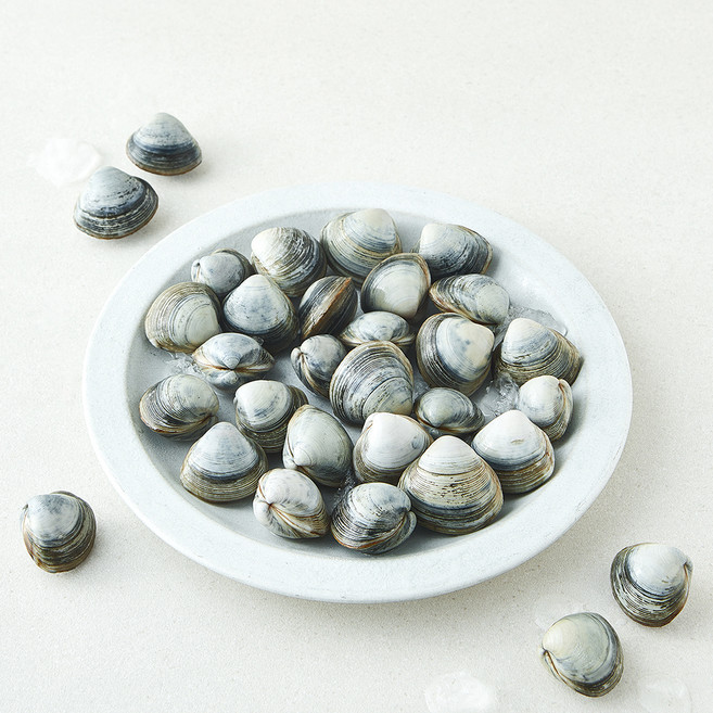 바다림 서해안 생물 동죽조개 (냉장), 1개, 400g