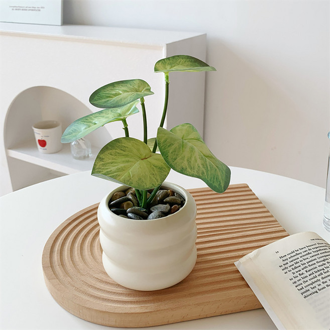 소유공간 그린 네이처 조화 화병 세트 S261-005T5, TYPE 5, 1세트