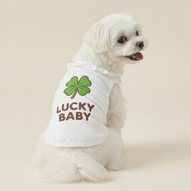 그루밍댕이 반려동물 프릴봄 나시티, 럭키, 1개