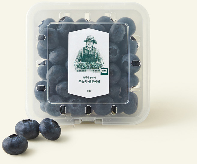온브릭스 무농약 인증 윤희성 농부의 블루베리, 100g, 1개
