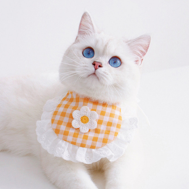 김멍냥 반려동물 플라워 케이프, 오렌지, 1개