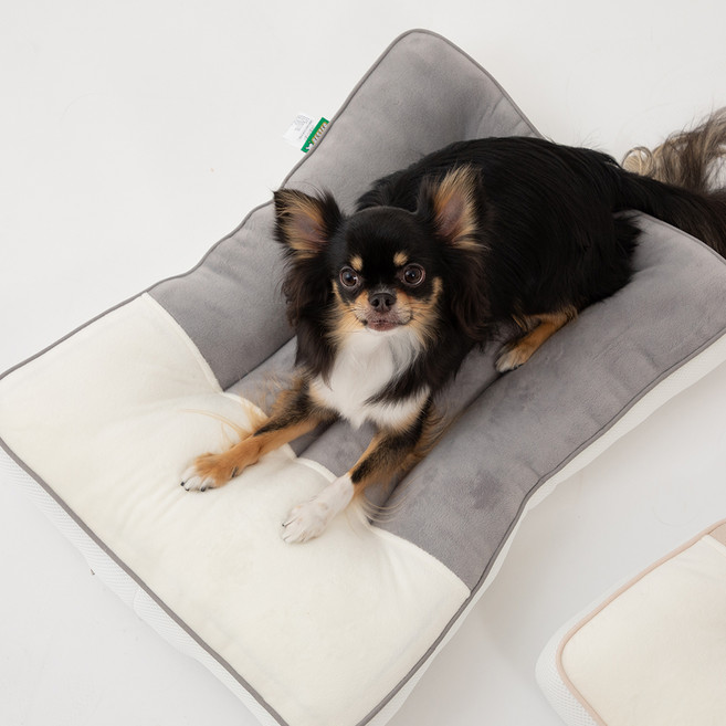 페스텝 반려동물 극세사 탄탄이 베개일체형 방석, 그레이, 1개