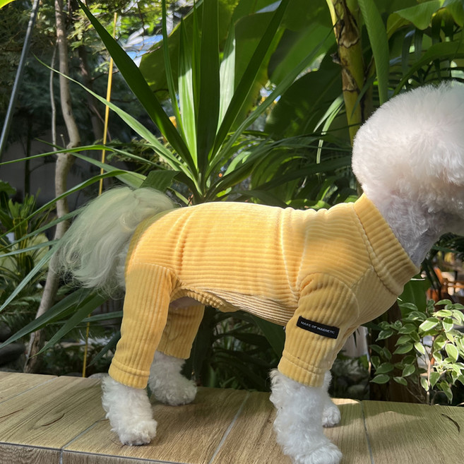 매그독 반려동물 벨루아 기모 올인원, 옐로우, 1개