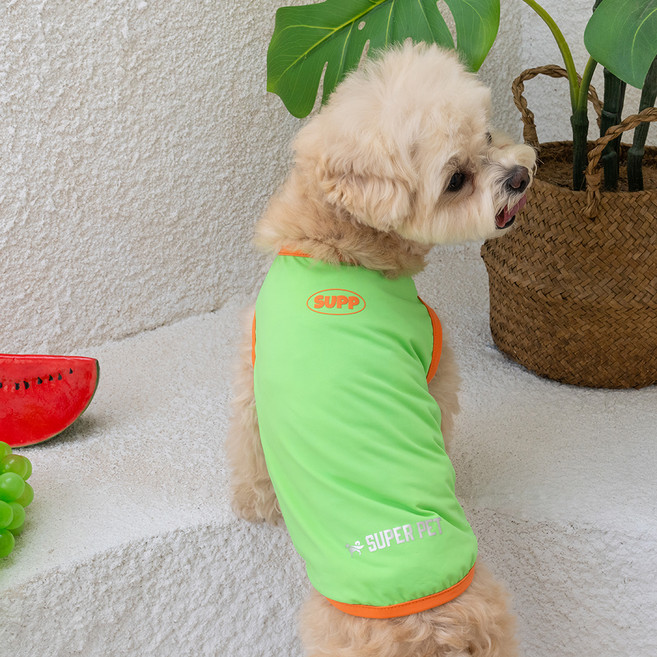 도그아이 강아지 쿨링 베스트, 그린, 1개