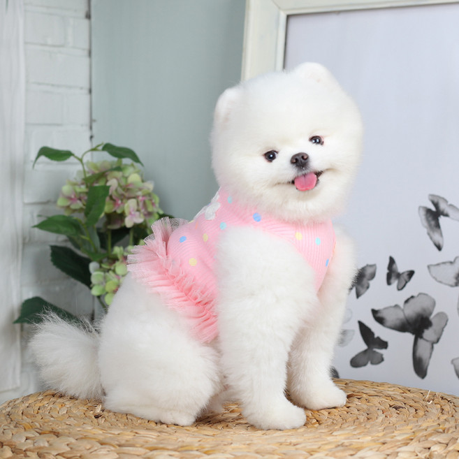 에이미러브즈펫 반려동물 캔디튜튜크롭, 핑크