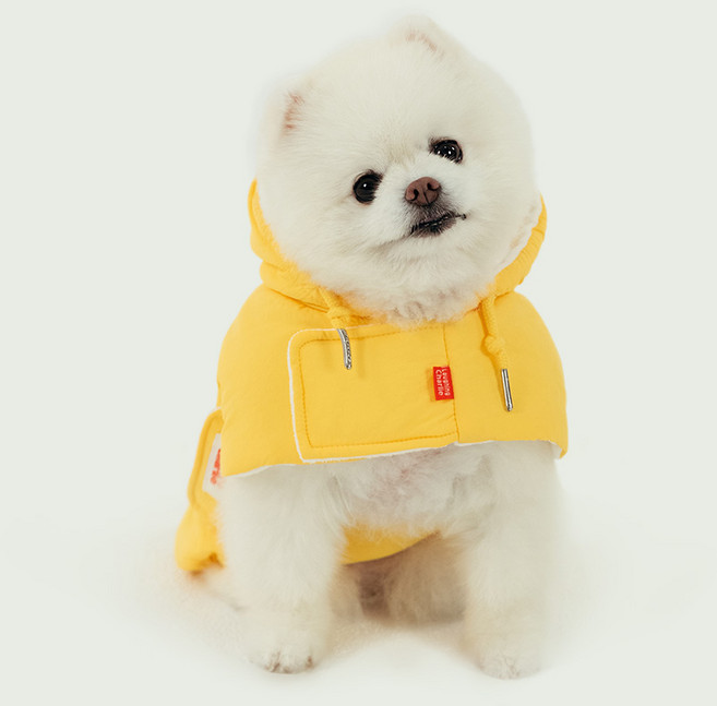 래핑찰리 강아지 히트 패딩 케이프, 옐로우, 1개