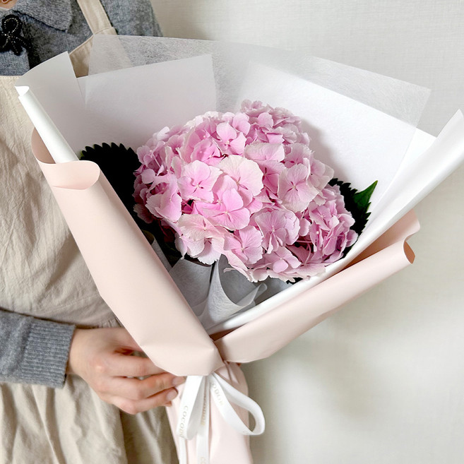 코코도르팜 생화 수국 꽃다발, 핑크