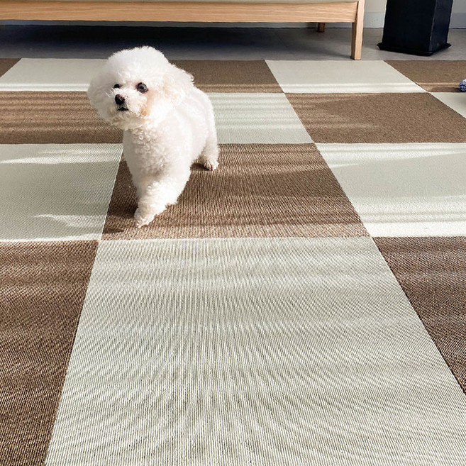 딩동펫 반려동물 블럭카페트 브라운 5p + 아이보리 5p 세트, 혼합색상, 1개