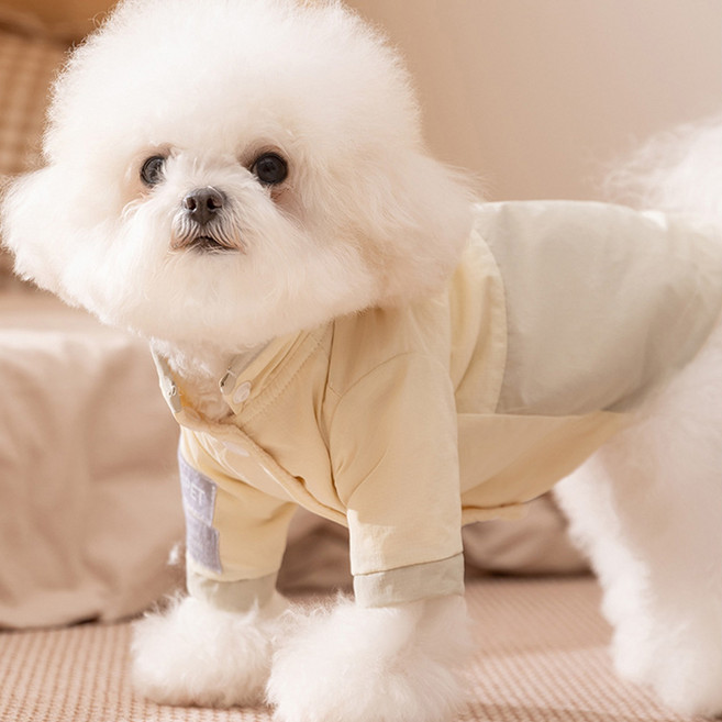 강아지 루아덴 바람막이, 크림베이지, 1개