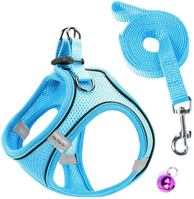 딩동펫 반려동물 올메쉬 통풍하네스 세트, 블루, 1세트