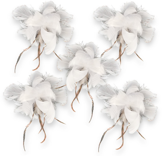 펫츠몬 고양이 낚시대 플라잉 시리즈 리필 5p, 깃털, 1세트