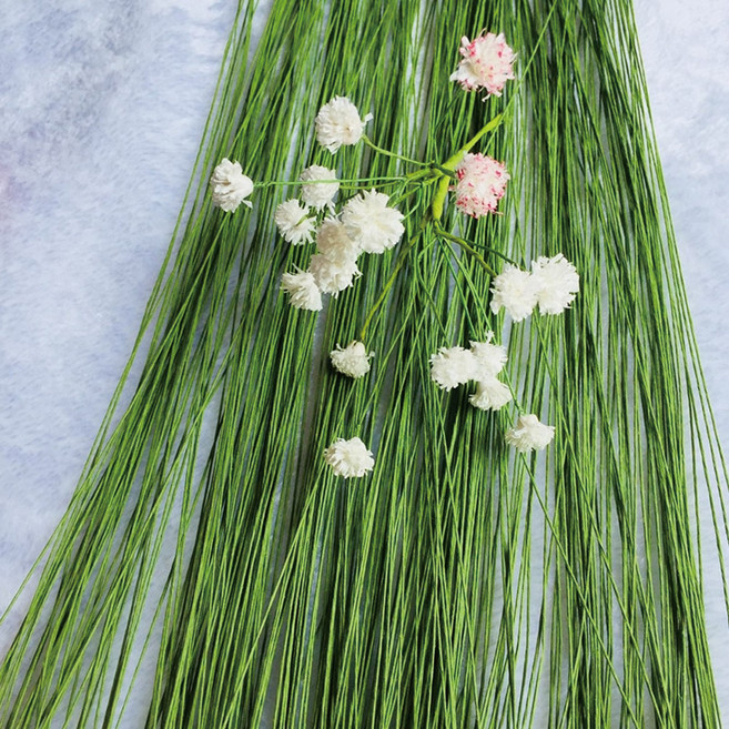 마켓플랜 대용량 화훼용 꽃 지철사 30호, 100개