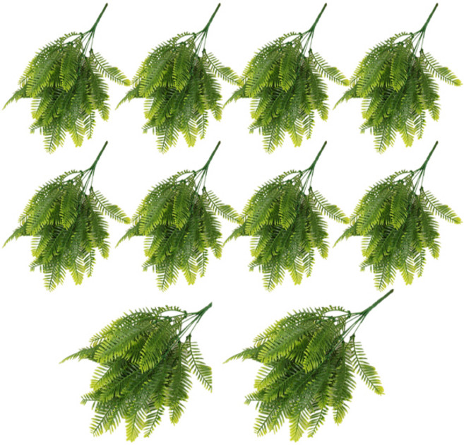 ABM 페르시아 조화 부쉬, 10개