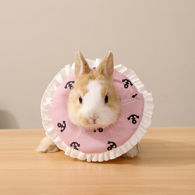 랜보어 소동물 마린 프릴 넥카라, 핑크, 1개