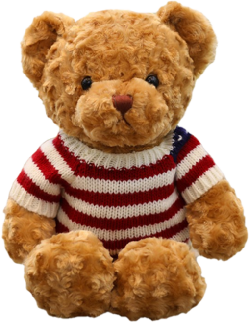 네이처타임즈 곰돌이 테디 봉제인형, 국기브라운