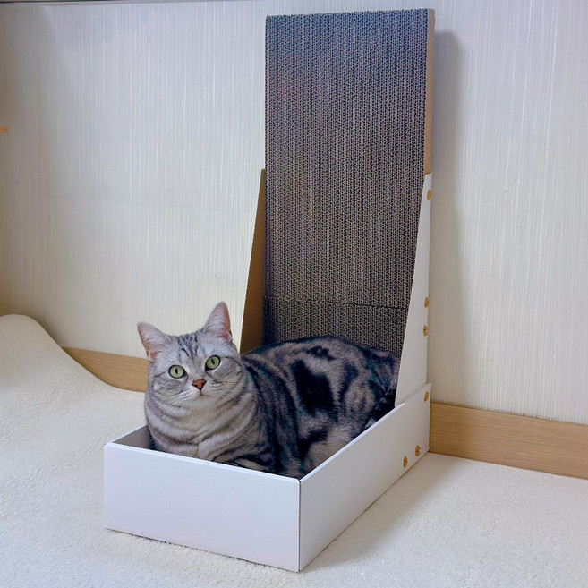MAAH 고양이 수직 박스 스크래쳐, 화이트, 1개