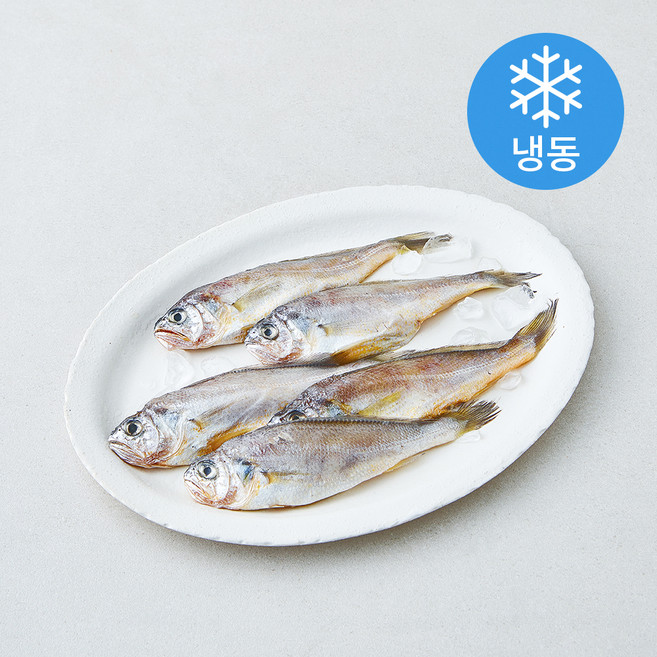 제주 참조기 5미 (냉동), 1개, 300g