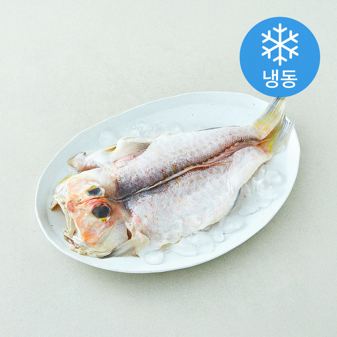 본디드림 제주용암해수 참옥돔 (냉동), 1개, 400g