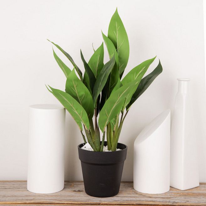 마쉬매리골드 인테리어 조화나무 스파티필름 49cm, 그린, 1개