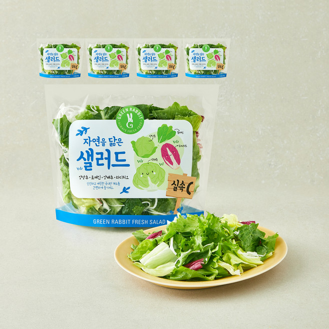 그린래빗 자연을 닮은 샐러드 실속C, 100g, 5개