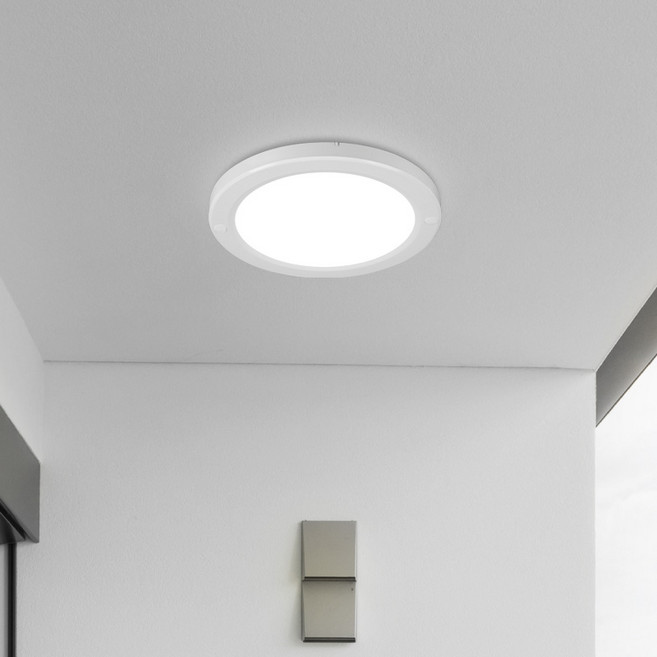 번개표 원하 엣지 플리커프리 LED 원형 직부등 20W 22cm, 화이트 + 주광색, 1개