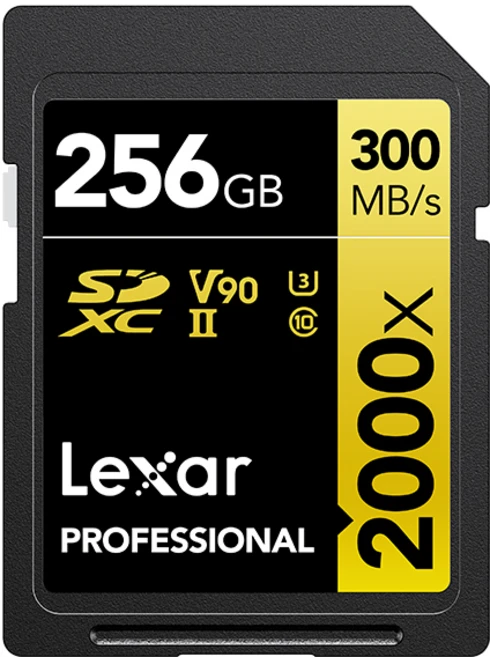 렉사 Professional 2000x SD카드, 256GB, 1개 - 쿠팡