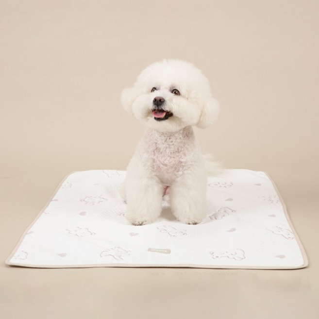 리토가토 강아지 포르페 논슬립 쿨매트, 베이지 베어, 1개