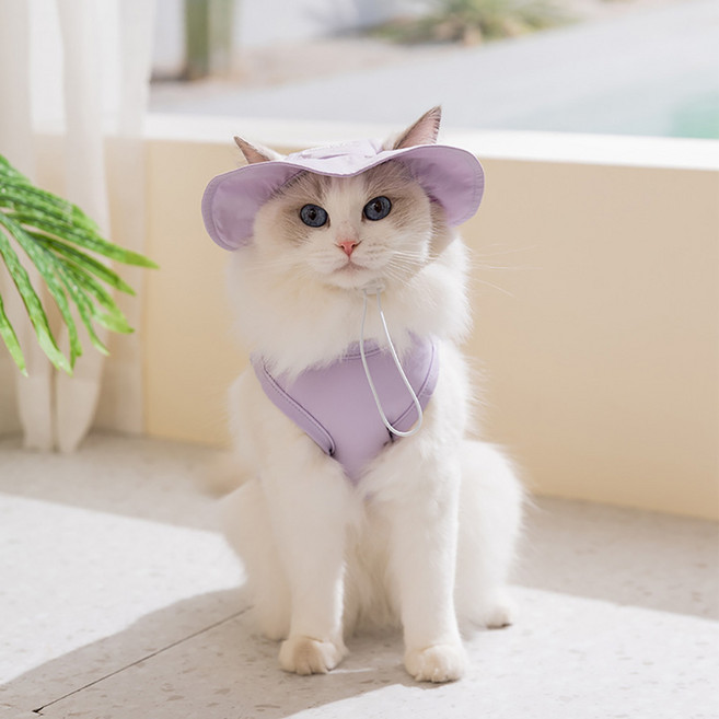 웨이비데이즈 반려동물 쿨링 티셔츠 + 모자 세트 W265-0127, 퍼플, 1세트