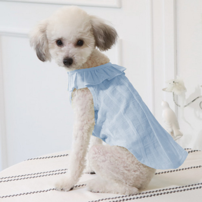 쁘띠도그 반려동물 파크프릴 남방 DST073, 블루