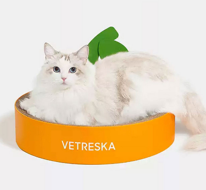 고양이 쁘띠 후르츠 귤모나이트 쇼파 평판형 스크래쳐, 오렌지 + 그린, 1개