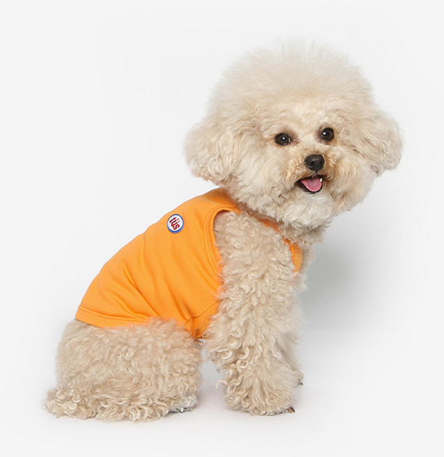 투스투스 반려동물 쿨나시 티셔츠, 오렌지, 1개