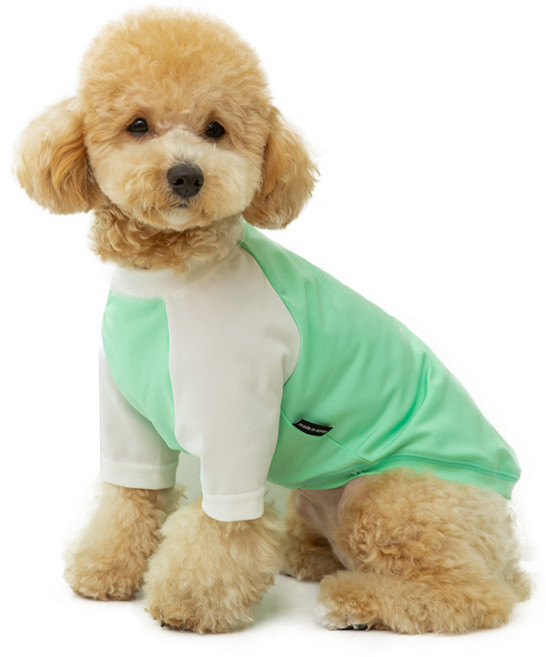 펫츠랜드 반려동물 슬러시 래쉬가드, GREEN, 1개