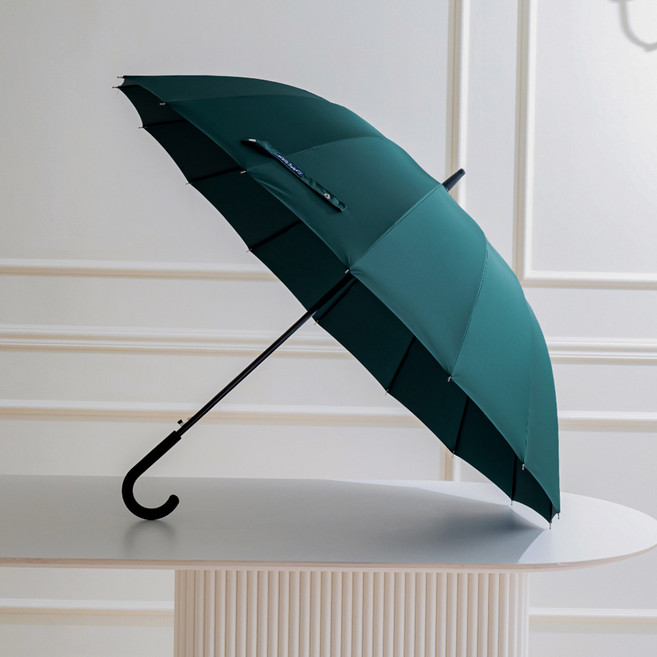 카르페디엠 프리미엄 대형 방풍 자동 장우산