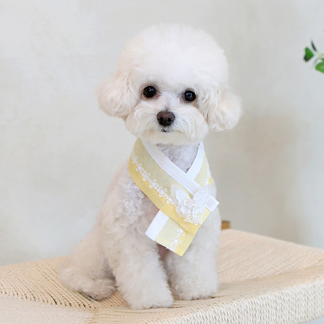 이츠독 반려동물 은나비 한복케이프, 옐로우, 1개