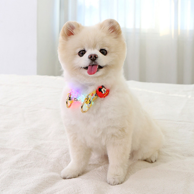 이츠독 강아지 디즈니 컴포트 LED 목줄, 미키, 1개