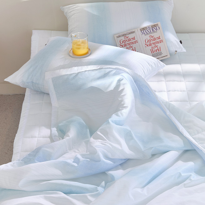 파르페by알레르망 포스트 듀라론 냉감 진드기 알러지케어 여름 차렵이불 베개커버 패드 세트