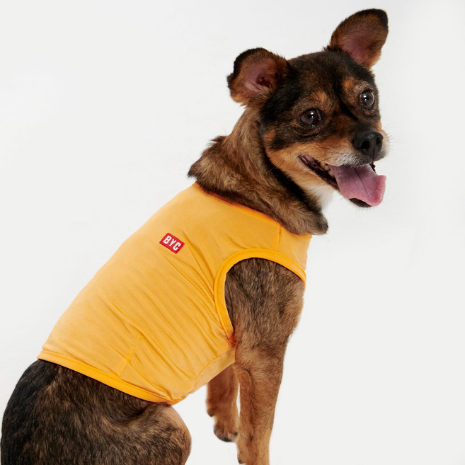 BYC 강아지 보디드라이 쿨런닝 플러스 ODB0002, OR 오렌지, 1개