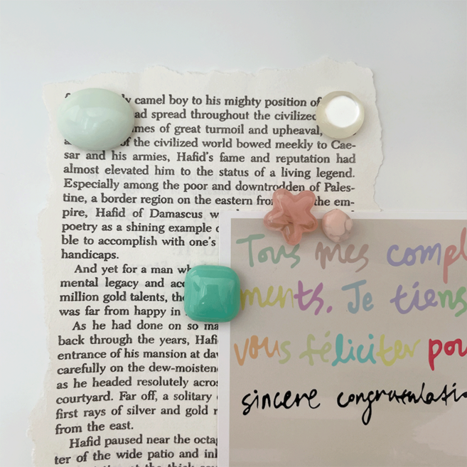 데미무드 제이드 가든 마그넷 냉장고 자석 5종 세트, 혼합색상