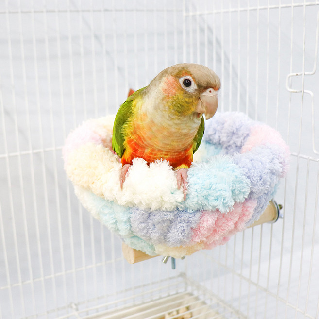 아늑한 포치 횃대, 파스텔, 1개