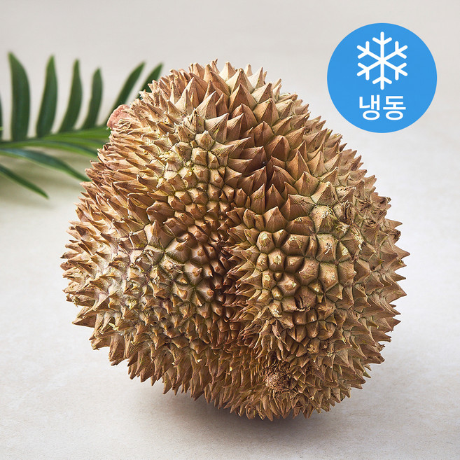 웰프레쉬 태국산 통두리안 (냉동), 1개, 1.8kg