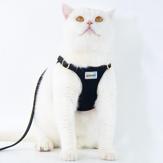 랜보어 반려동물 컬러 골드링 하네스 세트, 블랙, 1세트