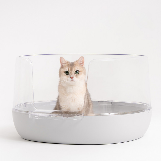 냥쌤 고양이 투명 화장실, 연그레이, 1개