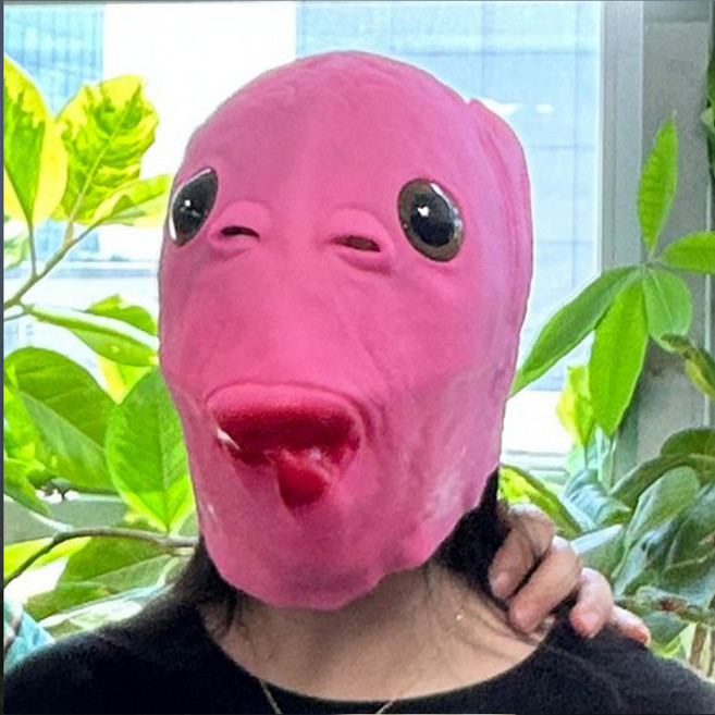 다다랜드 초록괴물 이구아나 외계인 가면, 핑크, 1개