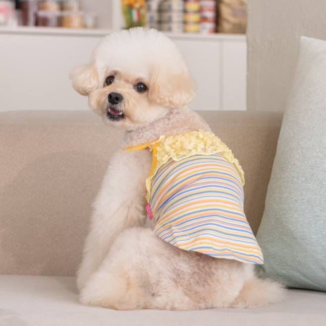 핑카홀릭 반려동물 메를린 탱크탑 NAXA-TS7747, 옐로우, 1개