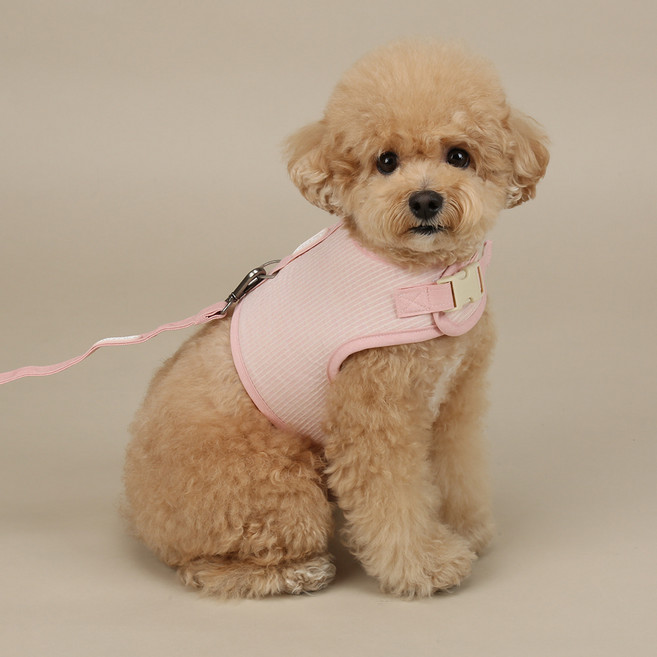 리토가토 강아지 멜로우 하네스, 핑크, 1개