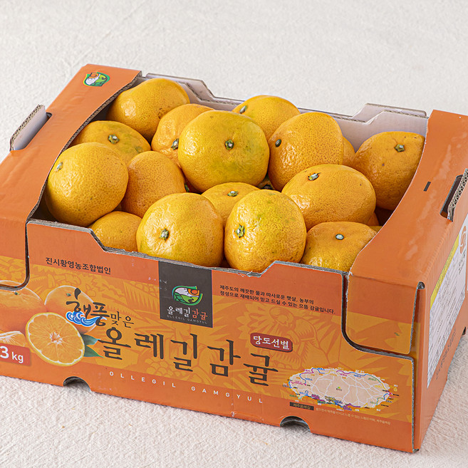 올레길 AI 당도선별 11brix 감귤, 3kg(랜덤과), 1개