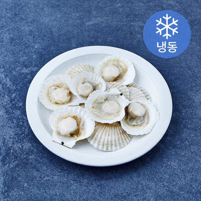 The더착한 반가리비 (냉동), 1개, 720g(36/40미)